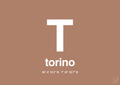 plakat: byplakat torino med koordinater - cider spice-Byer-A1two3