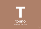 plakat: byplakat torino med koordinater - cider spice-Byer-A1two3
