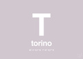 plakat: byplakat torino med koordinater - dusty lilac-Byer-A1two3