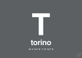plakat: byplakat torino med koordinater - graphic charcoal-Byer-A1two3