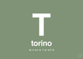 plakat: byplakat torino med koordinater - jade-Byer-A1two3