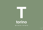 plakat: byplakat torino med koordinater - jade-Byer-A1two3