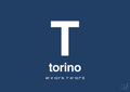 plakat: byplakat torino med koordinater - lapis blue-Byer-A1two3