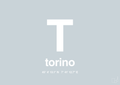 plakat: byplakat torino med koordinater - light drizzle-Byer-A1two3