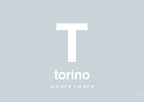 plakat: byplakat torino med koordinater - light drizzle-Byer-A1two3