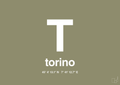 plakat: byplakat torino med koordinater - misty forrest-Byer-A1two3