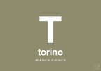 plakat: byplakat torino med koordinater - misty forrest-Byer-A1two3