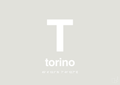 plakat: byplakat torino med koordinater - painters white-Byer-A1two3