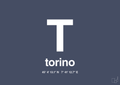 Byplakat torino med koordinater - petrol-Byer-A1two3