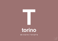 plakat: byplakat torino med koordinater - plum-Byer-A1two3