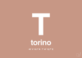 plakat: byplakat torino med koordinater - powder-Byer-A1two3