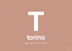 plakat: byplakat torino med koordinater - powder-Byer-A1two3