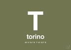 plakat: byplakat torino med koordinater - secret meadow-Byer-A1two3