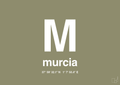 plakat: byplakat murcia med koordinater - misty forrest-Byer-A1two3