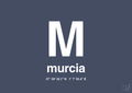 Byplakat murcia med koordinater - petrol-Byer-A1two3