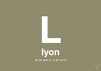 plakat: byplakat lyon med koordinater - misty forrest-Byer-A1two3