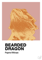 plakat: bearded dragon - bubble shell-Dyr-A1two3