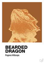 plakat: bearded dragon - cognac-Dyr-A1two3