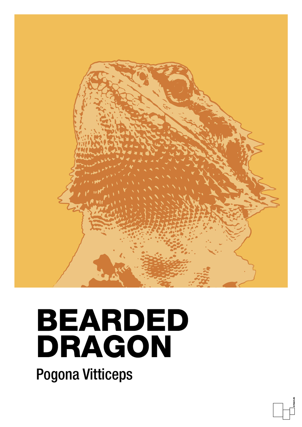 plakat: bearded dragon - honeycomb-Dyr-A1two3
