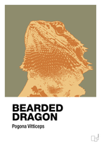plakat: bearded dragon - misty forrest-Dyr-A1two3