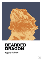 Bearded dragon - petrol-Dyr-A1two3