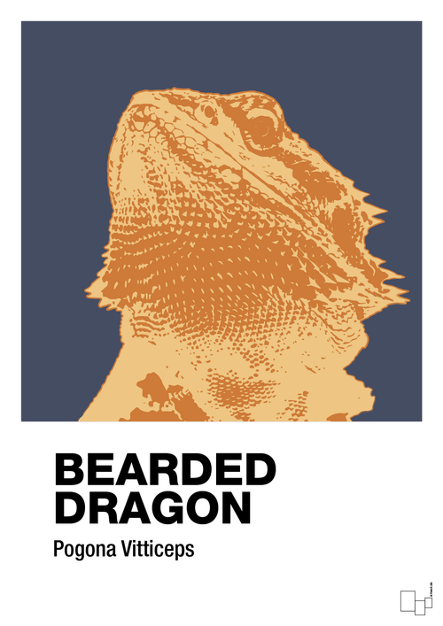Bearded dragon - petrol-Dyr-A1two3