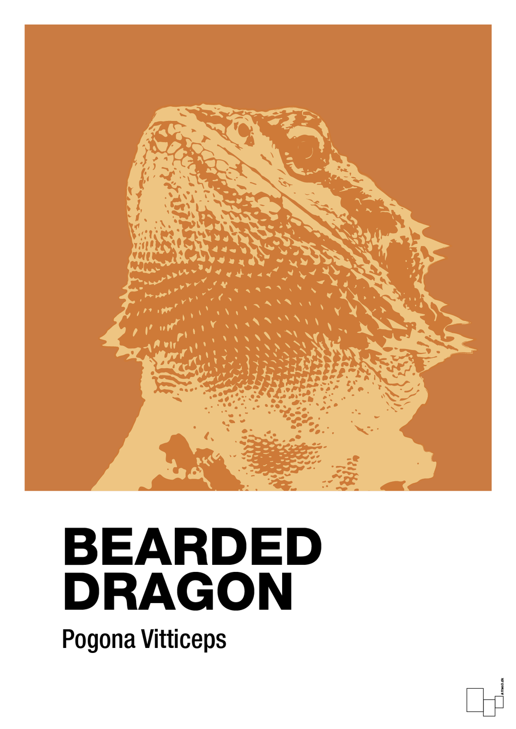 plakat: bearded dragon - rumba orange-Dyr-A1two3