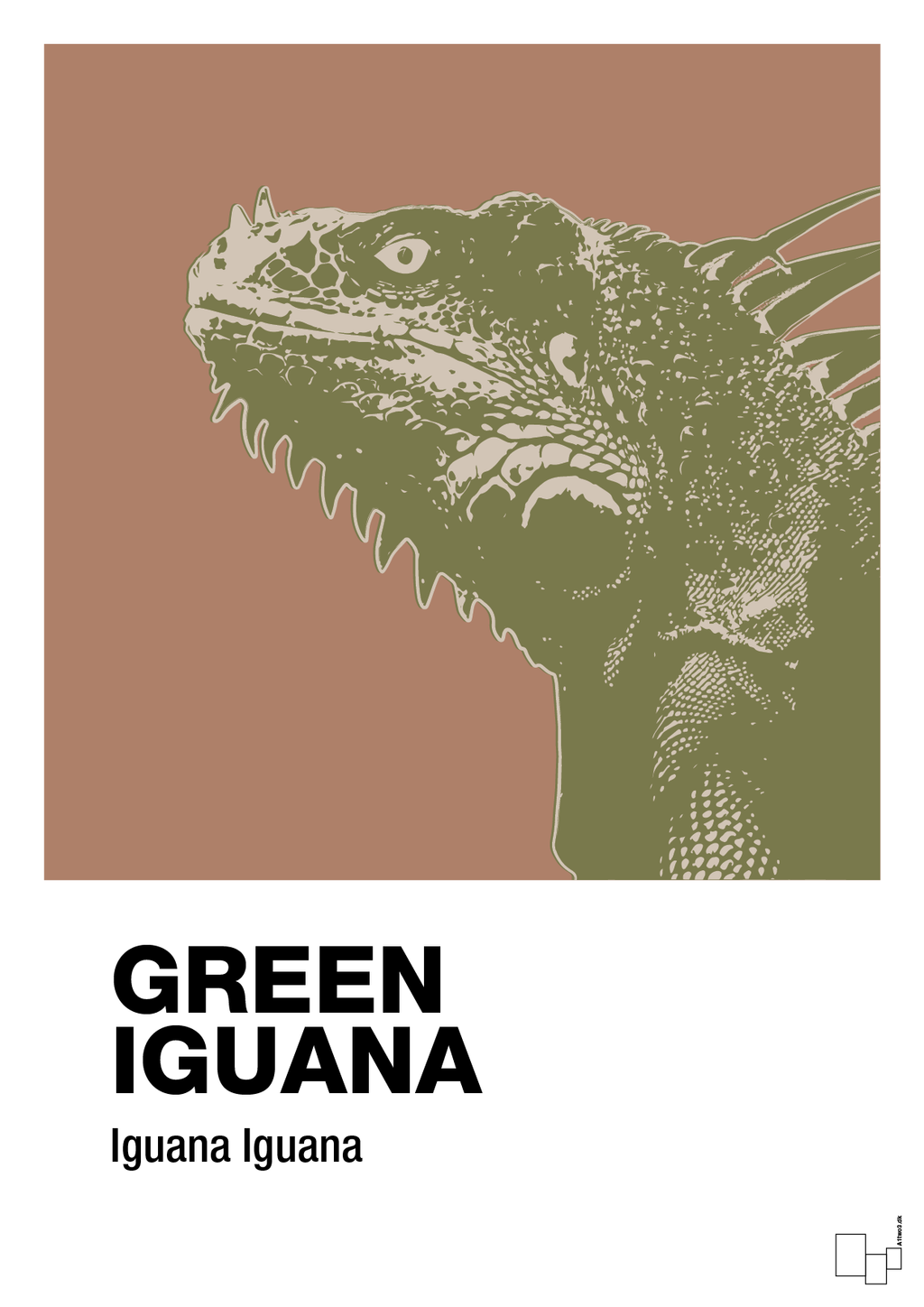 plakat: green iguana - cider spice-Dyr-A1two3