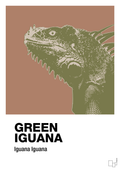 plakat: green iguana - cider spice-Dyr-A1two3