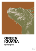 plakat: green iguana - cognac-Dyr-A1two3