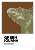 plakat: green iguana - dark brown-Dyr-A1two3