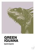 plakat: green iguana - dusty lilac-Dyr-A1two3