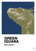 plakat: green iguana - lapis blue-Dyr-A1two3