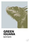 plakat: green iguana - light drizzle-Dyr-A1two3