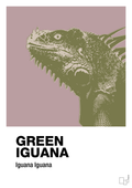 plakat: green iguana - light rose-Dyr-A1two3
