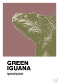 plakat: green iguana - plum-Dyr-A1two3