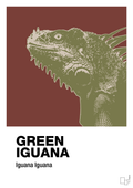 plakat: green iguana - red pepper-Dyr-A1two3