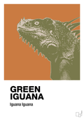 plakat: green iguana - rumba orange-Dyr-A1two3