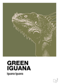 plakat: green iguana - secret meadow-Dyr-A1two3