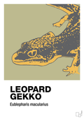 plakat: leopard gekko - back to nature-Dyr-A1two3