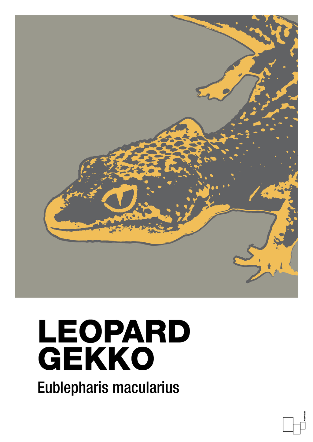 plakat: leopard gekko - battleship gray-Dyr-A1two3