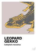 plakat: leopard gekko - broken beige-Dyr-A1two3