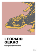 plakat: leopard gekko - bubble shell-Dyr-A1two3
