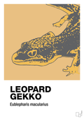 plakat: leopard gekko - charismatic-Dyr-A1two3