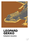 plakat: leopard gekko - cognac-Dyr-A1two3