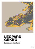plakat: leopard gekko - creamy mushroom-Dyr-A1two3