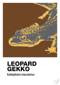 plakat: leopard gekko - dark brown-Dyr-A1two3