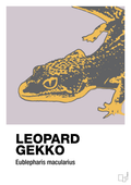 plakat: leopard gekko - dusty lilac-Dyr-A1two3