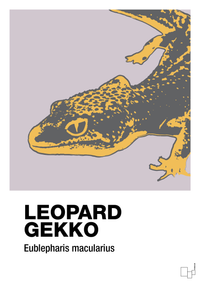 plakat: leopard gekko