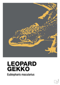 plakat: leopard gekko - graphic charcoal-Dyr-A1two3